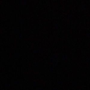 Meet your Posher, Bryce